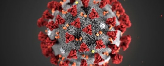 Coronavirus: politica in tilt e un popolo di epidemiologi, di virologi e soprattutto di nevrastenici…