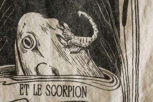 Politica: lo scorpione del neoliberismo col suo pungiglione ha trafitto il Capitalismo. Che il neoliberismo sia in crisi è conclamato da qualche lustro, ma le sue scorie sono ancora abbondanti nella economia italiana, europea e mondiale…